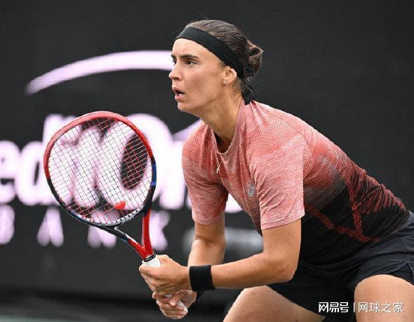 的精心指导 的精心指导