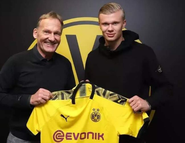 地面演示